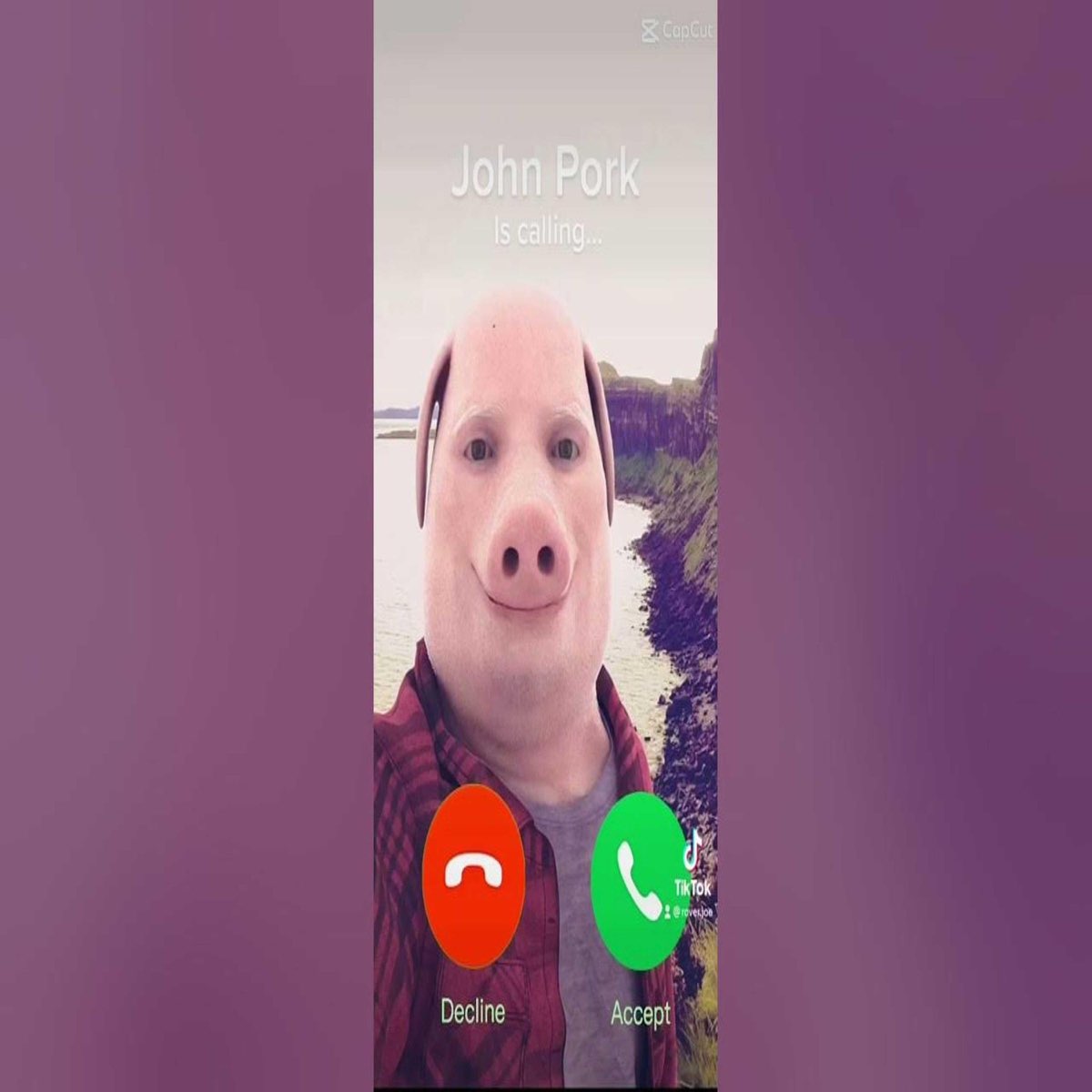 Who is John Pork and Why Is He Calling on TikTok?
