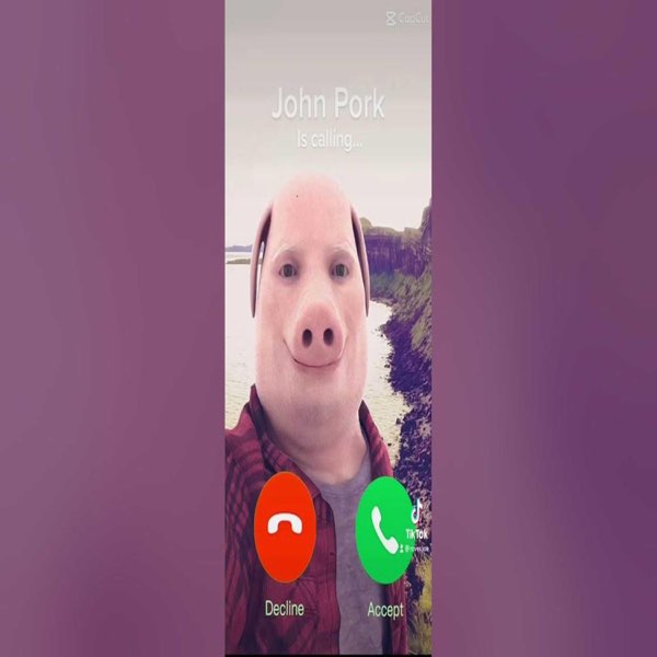 Technoblade face real 😳😳  John Pork / John Pork Is Calling