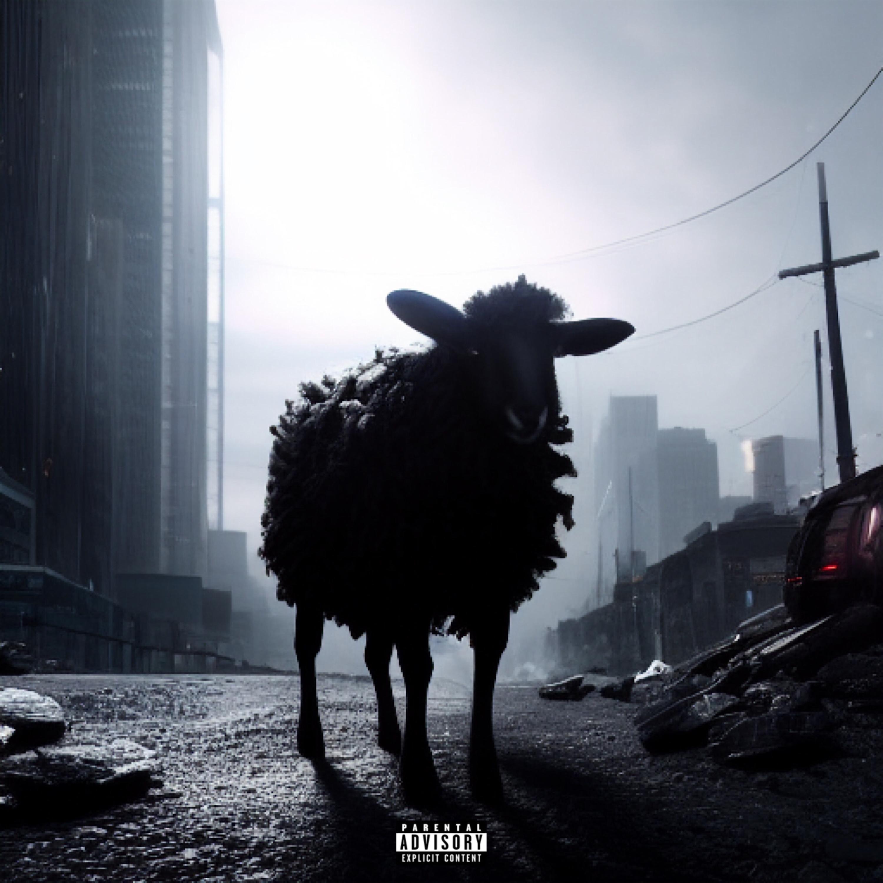 Blvck Sheep 2