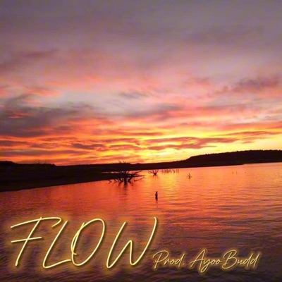 FLOW prod.AyoBudd - Single
