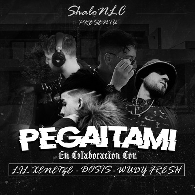 Pegaitami - Single