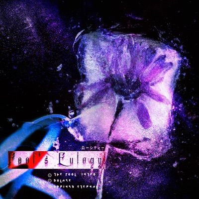 Fool's Eulogy - Single