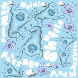 Shuffle (feat. TAEO) Neidi