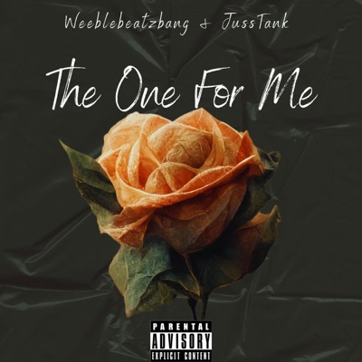 The One For Me (feat. JussTank) - Single
