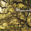 The Invisible Band - Travis