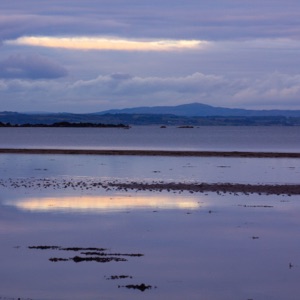 Carroll: Sea Idylls