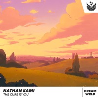 The Cure Is You - Single - Nathan Kami & Dream WRLD