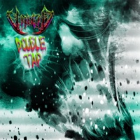 Double Tap - Single - Vincio