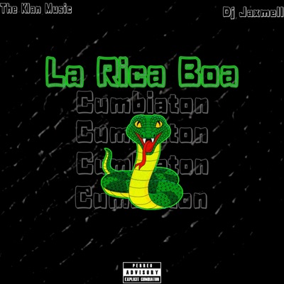 La Rica Boa - Single