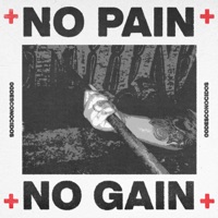 No Pain No Gain - Single - 00Desconocidos