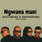 Ngwana Mani (feat. Tiyani) artwork