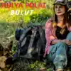 polat bulut