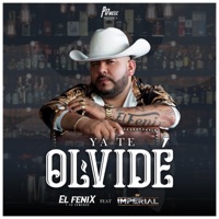 YA TE OLVIDE (feat. Los del Imperial) - Single - ELFENIXOFICIALL