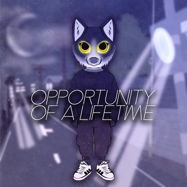 Opportunity of a Lifetime (Radio Edit) [Radio Edit]