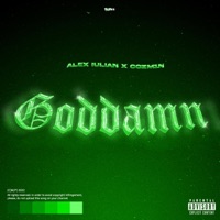 Goddamn (feat. Cozm1n) - Single - Alex Iulian
