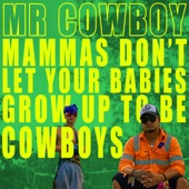 Mamas Don't Let Your Babies Grow Up To Be Cowboys artwork