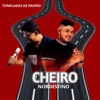 Toneladas de Paixão - Single