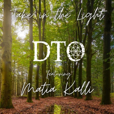 Take in the Light - Single