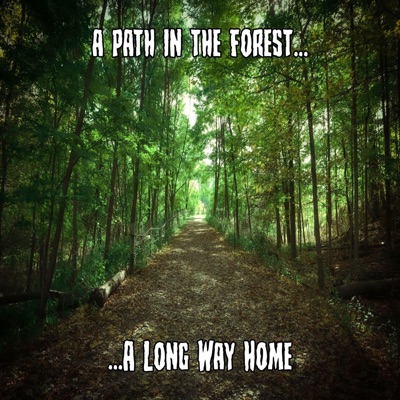 A Path In the Forest, A Long Way Home - Single