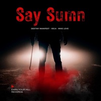 Say Sumn (feat. Vega & Mike Love) - Single - Destiny Manifest