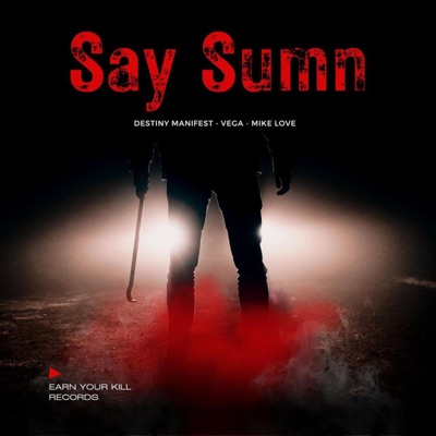 Say Sumn (feat. Vega & Mike Love) - Single