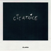 Cicatrice artwork