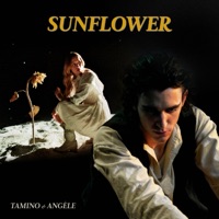 Sunflower - Single - Tamino & Angèle