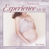 Prenatal Experience (528 Hz)