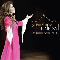 Guadalupe Pineda en Bellas Artes, Vol. 1 - Guadalupe Pineda