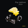Pop Ambient 2024 - Various Artists