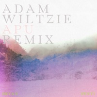 Apu - Single - Bryan Senti & Adam Wiltzie