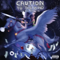 Caution To the Wind (Deluxe Edition) - Caution of 2rs