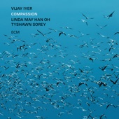 Vijay Iyer, Linda May Han Oh, and Tyshawn Sorey - Ghostrumental