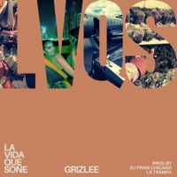 La vida que soñé (feat. Dj prins Chicago) - Single - Grizlee