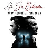 Ah Sen Bilmedin (feat. Cem Adrian) song art