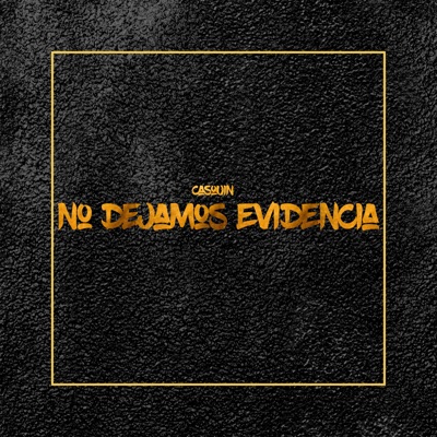No Dejamos Evidencia - Single
