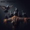 Pigeons - BUA lyrics