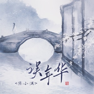 误年华 - Single