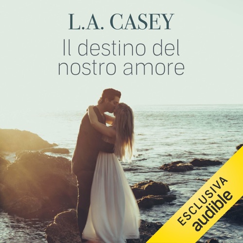 Il destino del nostro amore cover