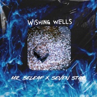 Wishing Wells - Single - Mr. Beleaf & Seven Star