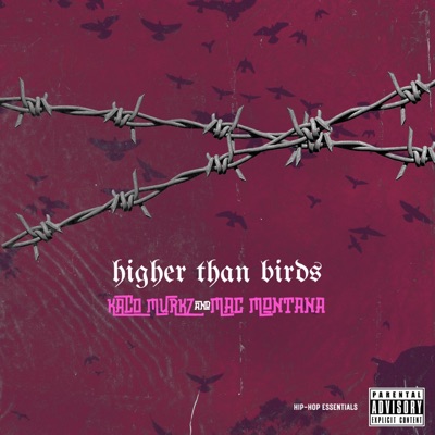 Higher Than Birds - Single
