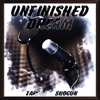 Unfinished Dream - Single