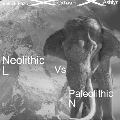 Neolithic vs paleolithic (feat. Qdash) - Single