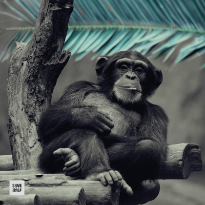 Slow Motion - Single