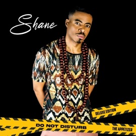 Something Special (feat. Money Zoe) Shane