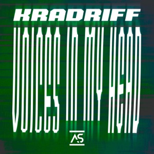 Voices in My Head - Single