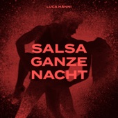 Salsa ganze Nacht artwork
