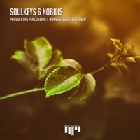 Provocative Percussion - Single - Soulkeys & Nobilis