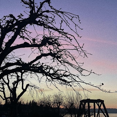 February Air - Single