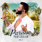 Paraíso Particular, Vol. 2 (Ao Vivo) - EP artwork